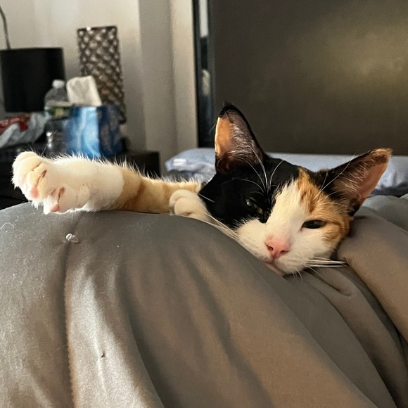 Meet your Posher, Michelle - Picture 1 of 1